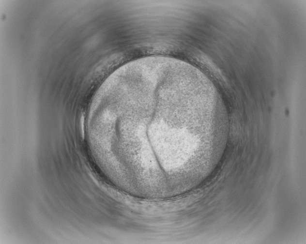 X0000086930022200705071404