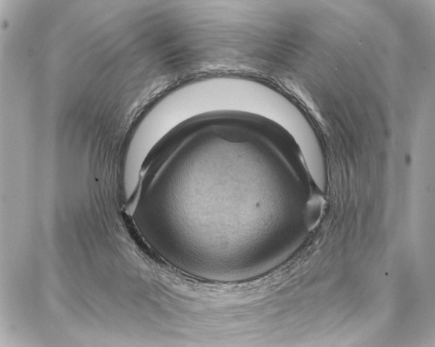 X0000086930023200705071404