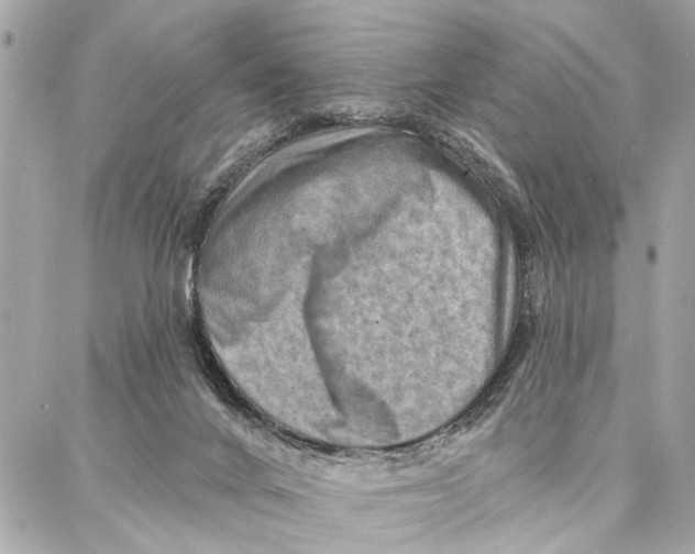 X0000086930024200705071404