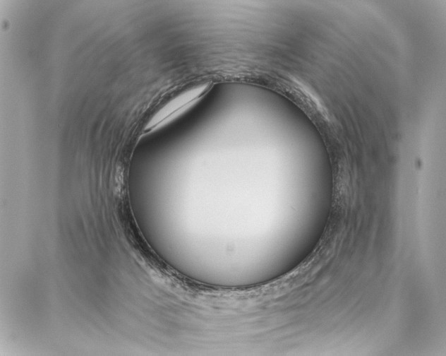 X0000086930025200705071404