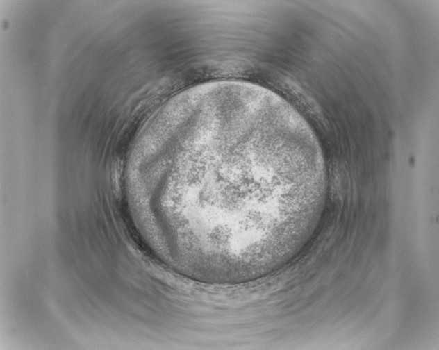 X0000086930026200705071404