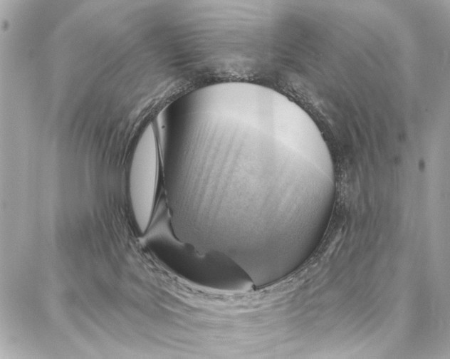 X0000086930027200705071404