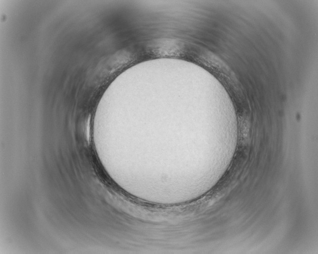 X0000086930028200705071404