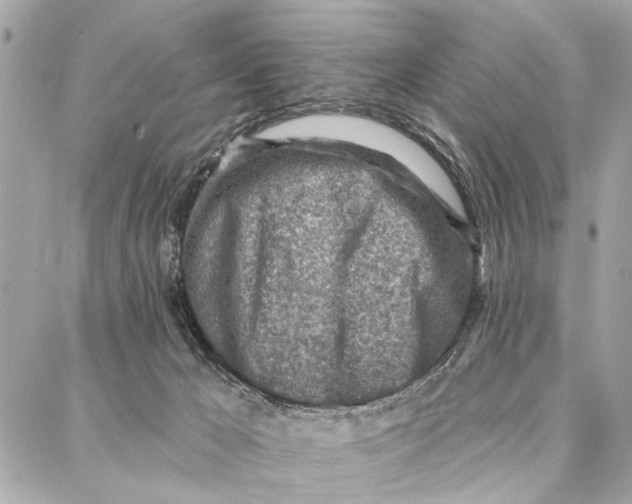 X0000086930029200705071404