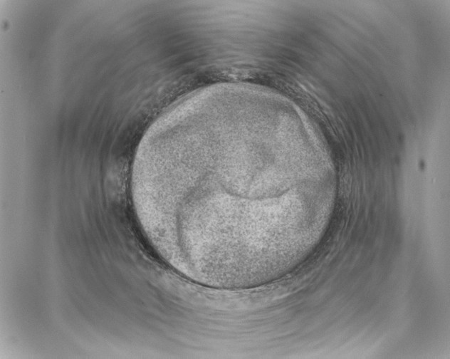 X0000086930030200705071404