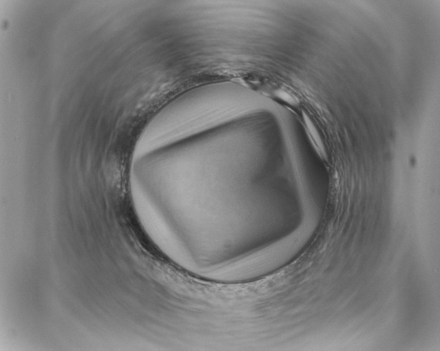 X0000086930031200705071404