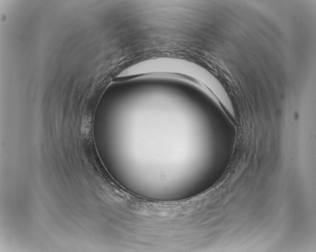 X0000086930033200705071404