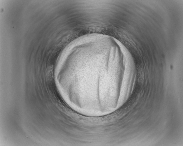 X0000086930034200705071404