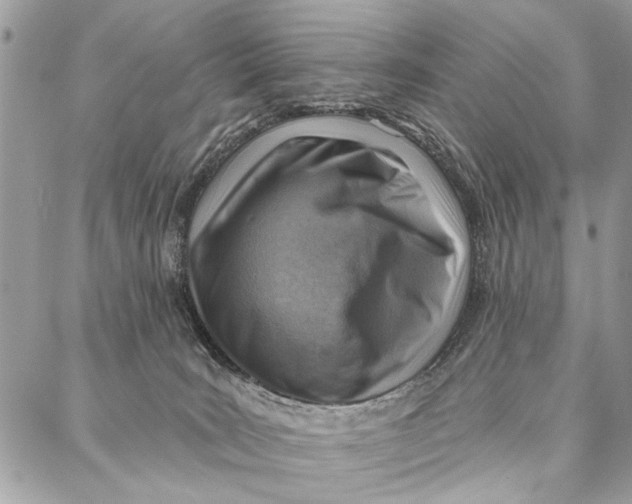 X0000086930035200705071404