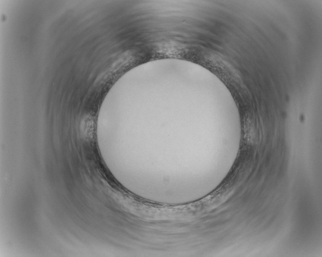 X0000086930036200705071404