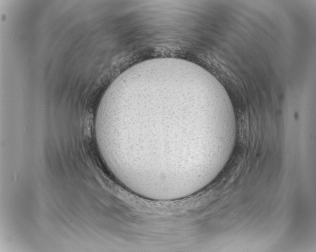 X0000086930038200705071404