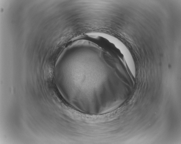 X0000086930039200705071404