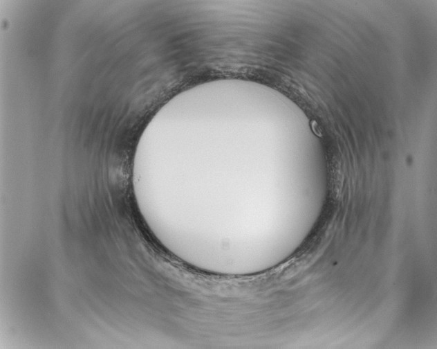 X0000086930040200705071404