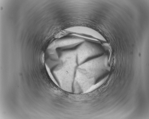 X0000086930041200705071404