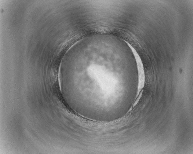 X0000086930043200705071404