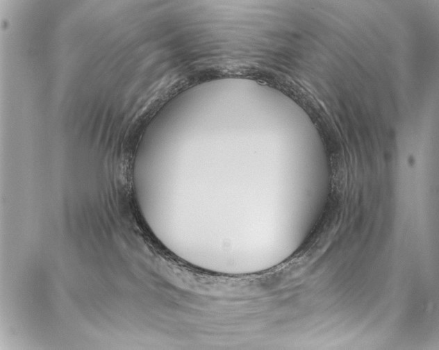 X0000086930044200705071404