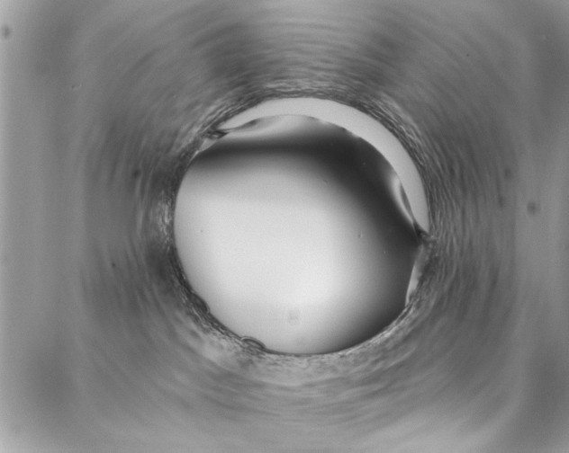 X0000086930045200705071404