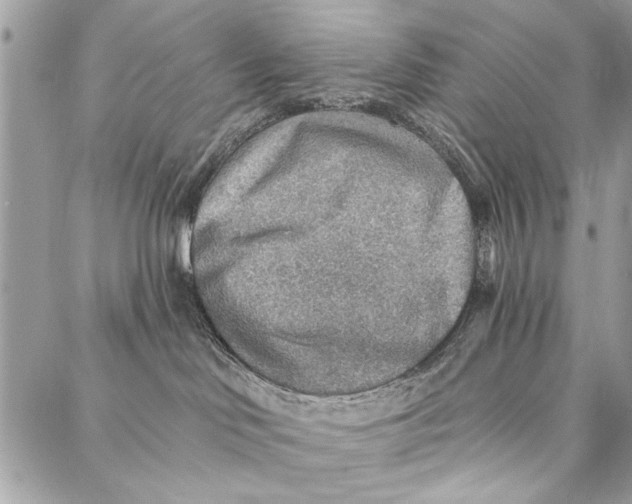 X0000086930046200705071404