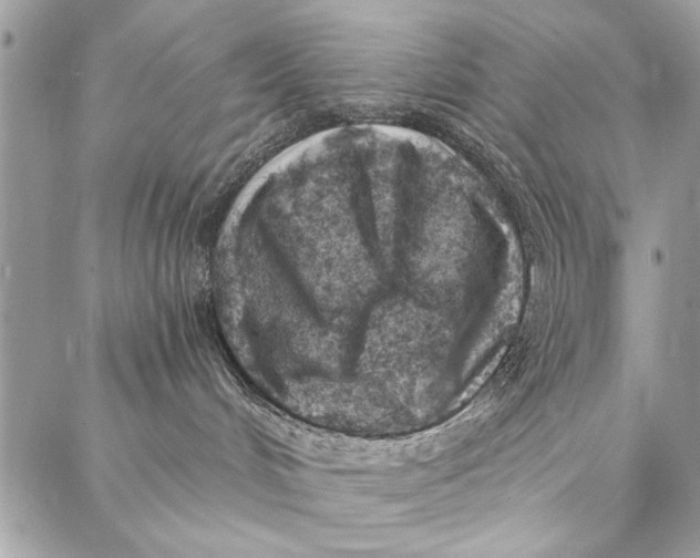 X0000086930048200705071404