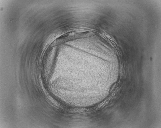 X0000086930049200705071403