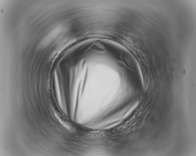 X0000086930050200705071403