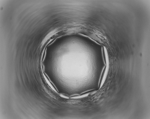 X0000086930051200705071403