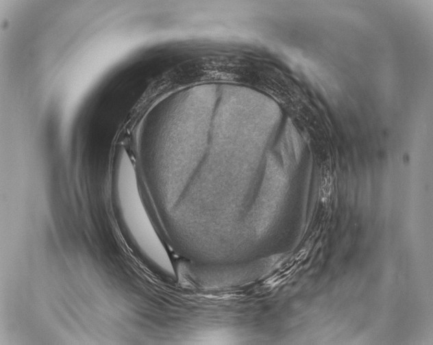 X0000086930052200705071403