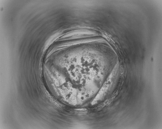 X0000086930053200705071403