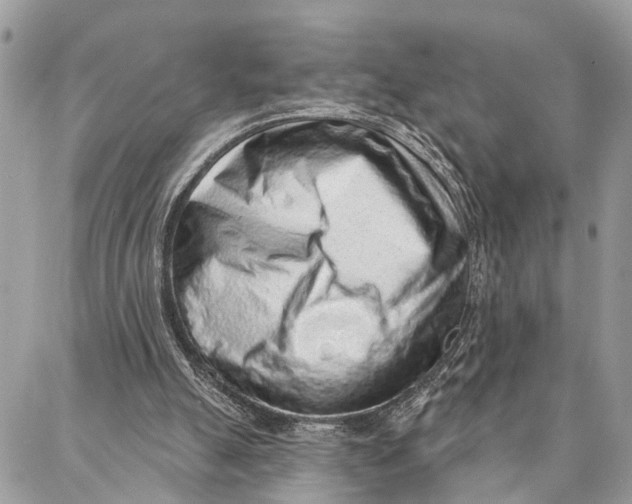 X0000086930055200705071403