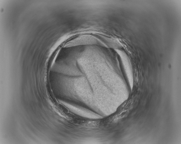 X0000086930056200705071403