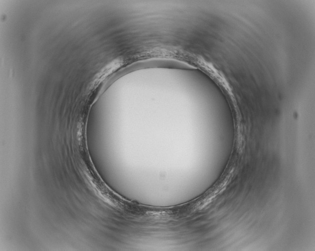 X0000086930057200705071403