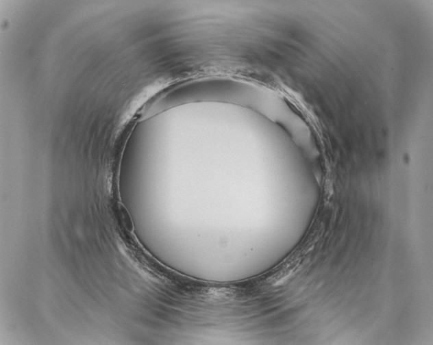 X0000086930060200705071403