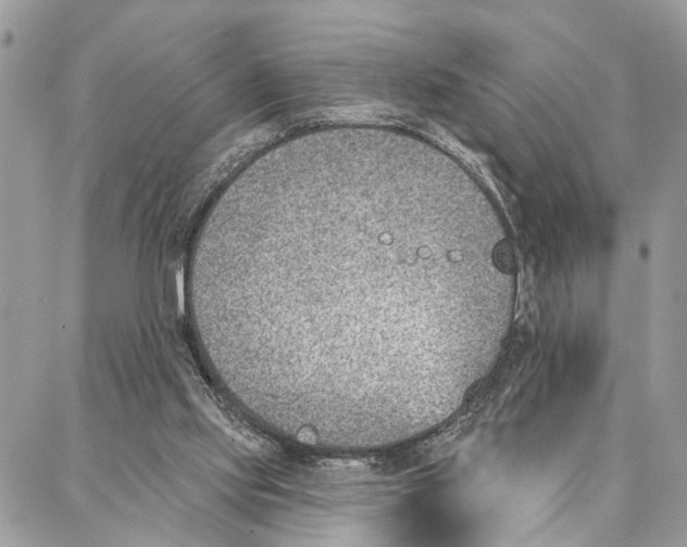 X0000086930061200705071403