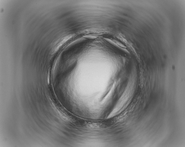 X0000086930062200705071403