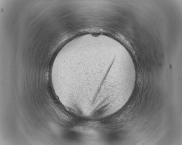 X0000086930063200705071403