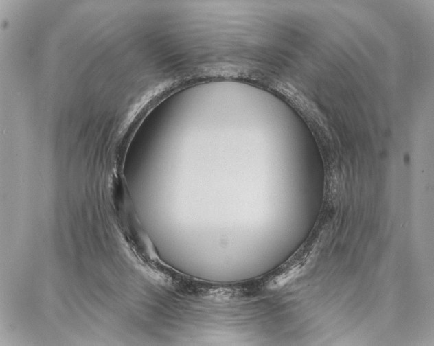 X0000086930064200705071403