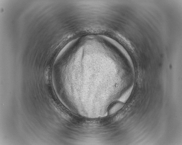 X0000086930065200705071403