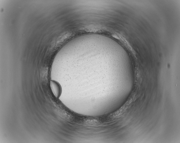 X0000086930066200705071403