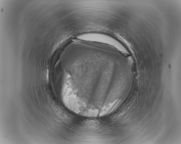 X0000086930067200705071403