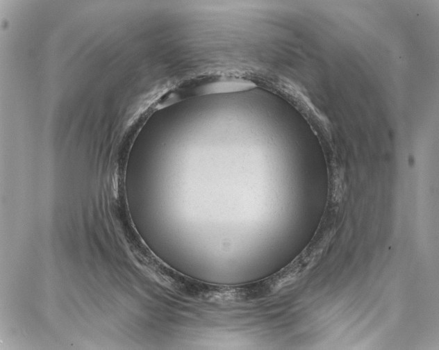 X0000086930068200705071403