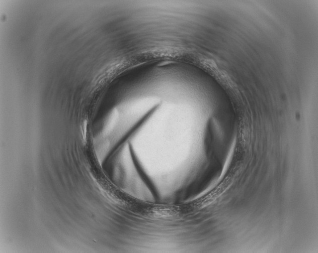 X0000086930070200705071403