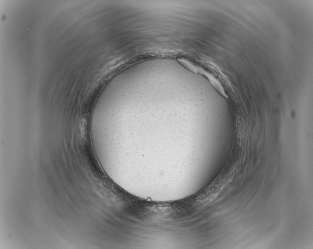 X0000086930071200705071403