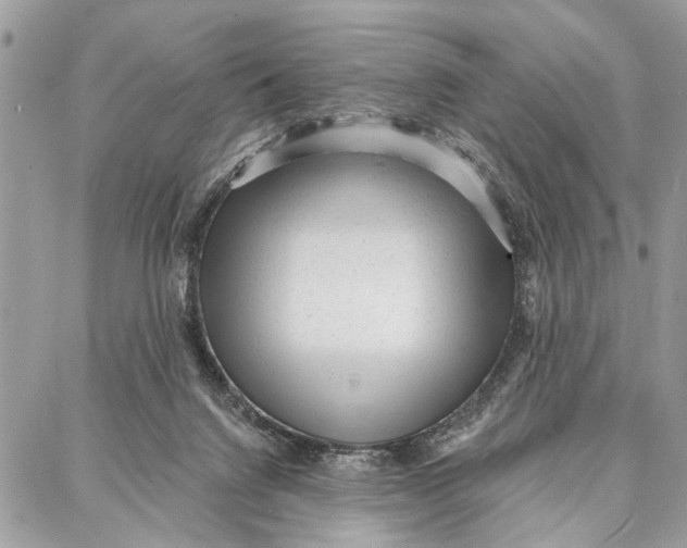 X0000086930072200705071403