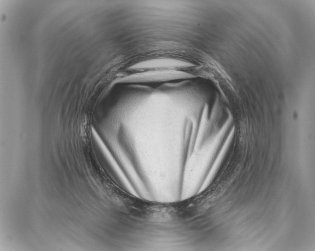 X0000086930073200705071403