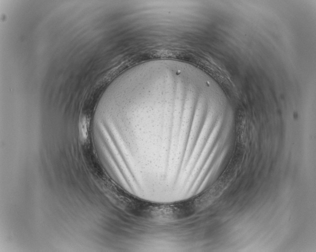 X0000086930075200705071403