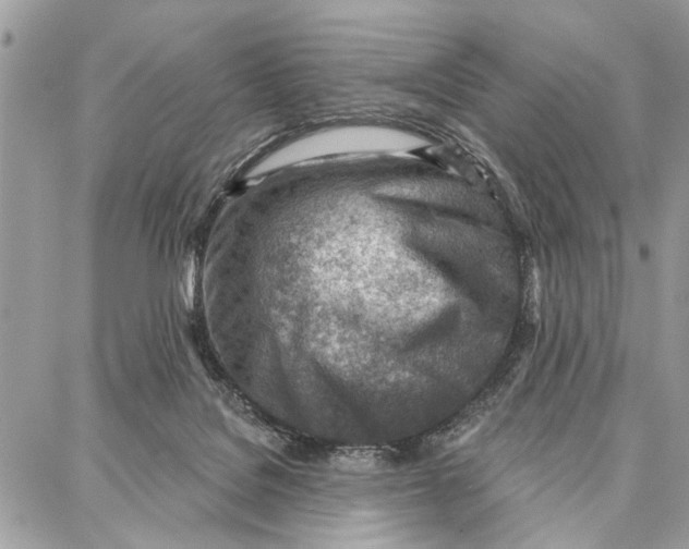 X0000086930076200705071403