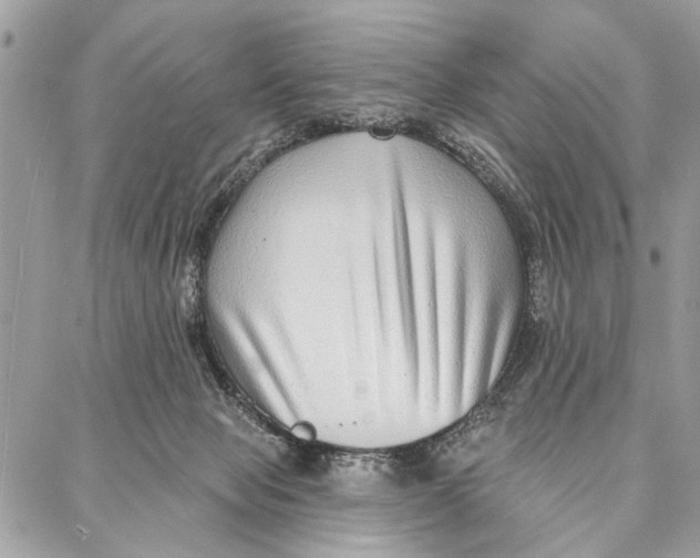 X0000086930077200705071403