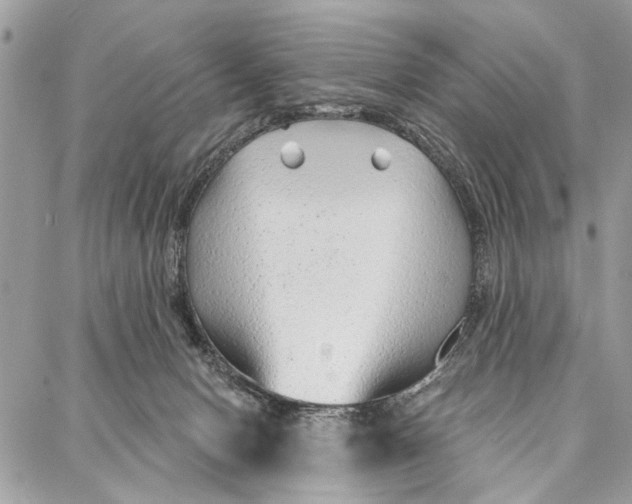 X0000086930078200705071403