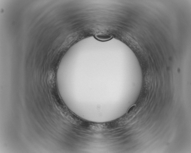 X0000086930079200705071404