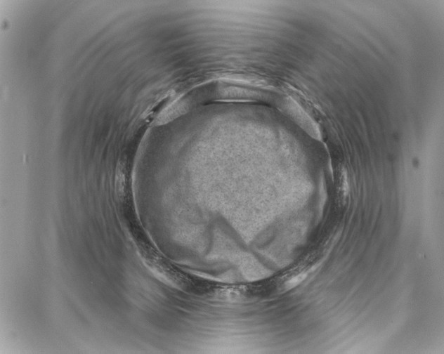 X0000086930080200705071404